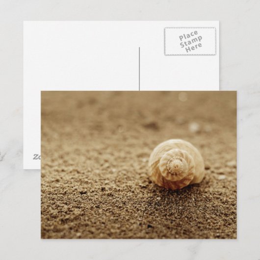 Wulk | Botany Bay Briefkaart (Voorkant / Achterkant)