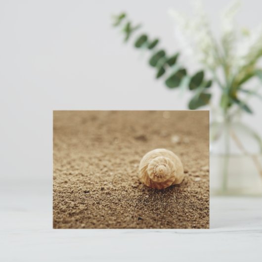 Wulk | Botany Bay Briefkaart (Staand voorkant)