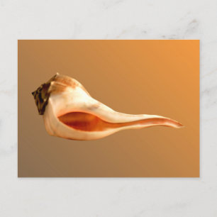 Wulk links briefkaart