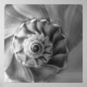 Wulk Poster (Voorkant)