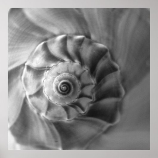 Wulk Poster (Voorkant)