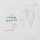 Wulk Schelpen Vergelijking Fotografie Briefkaart (Achterkant)