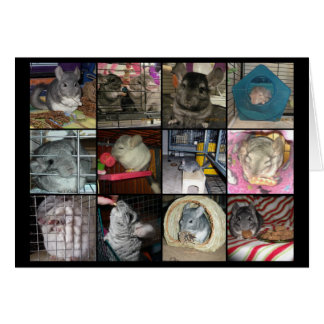 Wunderchins 2012-kaart