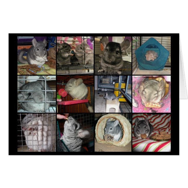 Wunderchins 2012-kaart (Voorkant Horizontaal)