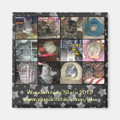 Wunderchins 2012 magneet (Voorkant)
