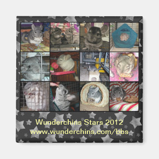 Wunderchins 2012 magneet