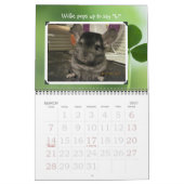Wunderchins-kalender 2012 kalender (Mar 2027)
