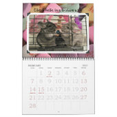 Wunderchins-kalender 2012 kalender (Feb 2027)