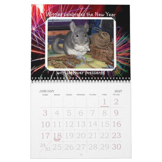 Wunderchins-kalender 2012 kalender (Jan 2027)