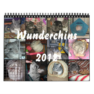 Wunderchins-kalender 2012 kalender
