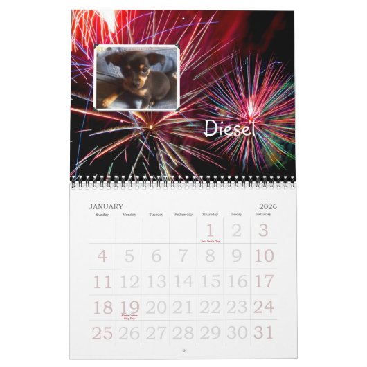 Wunderchins Pets 2012 kalender (Jan 2026)
