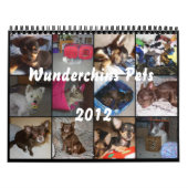 Wunderchins Pets 2012 kalender (Hoes)