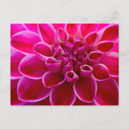 Wunderschöner pink-rosa-farbener Blütengruß Briefkaart