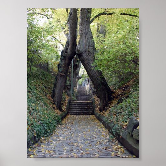 Wurzburg, Duitsland Poster (Voorkant)