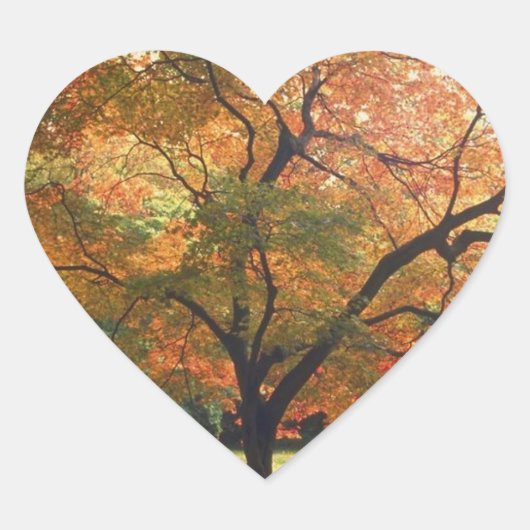 Wuwelijk hart herfst bruiloft herfst bruiloft sticker (Voorkant)