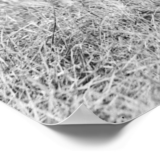 WV Wesleyan Football, 1919 Poster (Hoek)