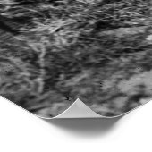 WW1 Duits Vuurvliegtuig, jaren 1910 Poster (Hoek)