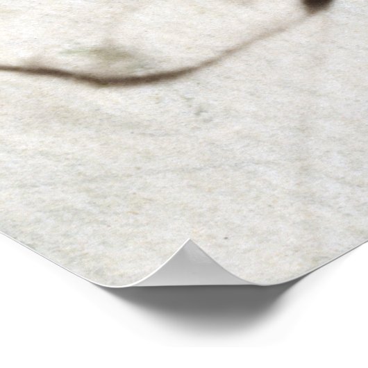 WWI Zuster breien Sweater Poster (Hoek)