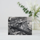 WWII Nederlandse Snipers Briefkaart (Staand voorkant)