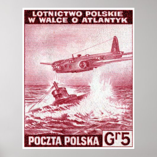 WWII Poolse luchtmacht Poster (Voorkant)