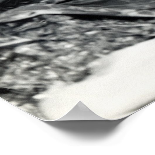 WWII US Marines on Peleliu Poster (Hoek)