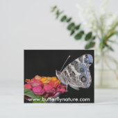 www.butterflynature.com briefkaart (Staand voorkant)