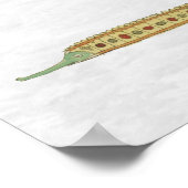 WWW FISH POSTER (Hoek)