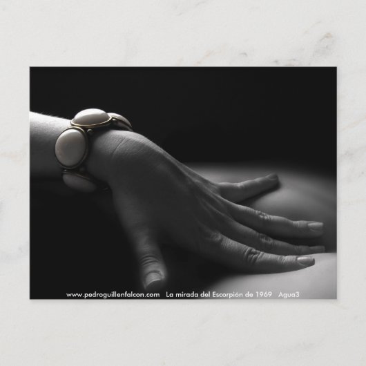 www.pedroguillenfalcon.com briefkaart (Voorkant)