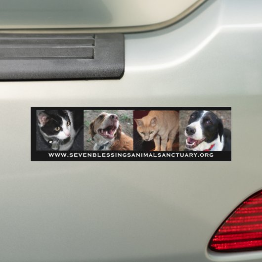 www.sevenblessingsanimalsanctuary.org bumpersticker (Op auto)