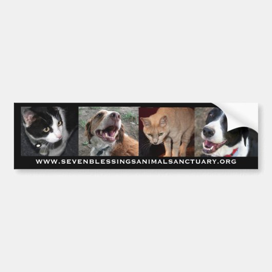 www.sevenblessingsanimalsanctuary.org bumpersticker (Voorkant)