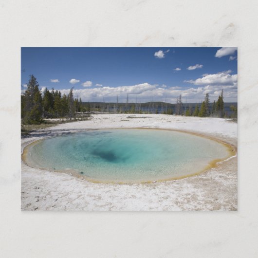 WY, Yellowstone National Park, West Thumb Geyser Briefkaart (Voorkant)