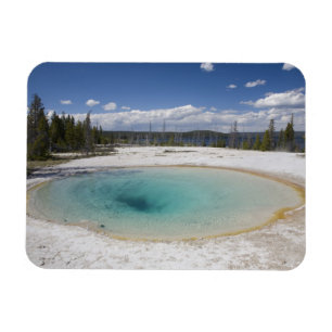 WY, Yellowstone National Park, West Thumb Geyser Magneet