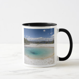 WY, Yellowstone National Park, West Thumb Geyser Mok