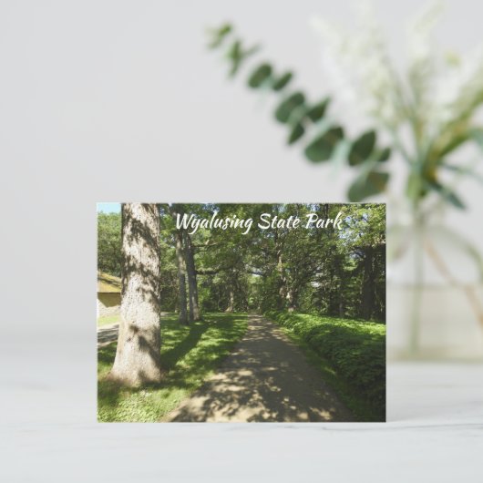 Wyalusing State Park P Briefkaart (Staand voorkant)