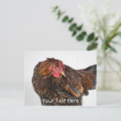 Wyandotte Chicken Briefkaart (Staand voorkant)