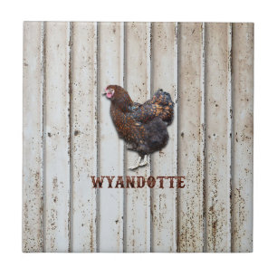 Wyandotte Chicken Tegeltje