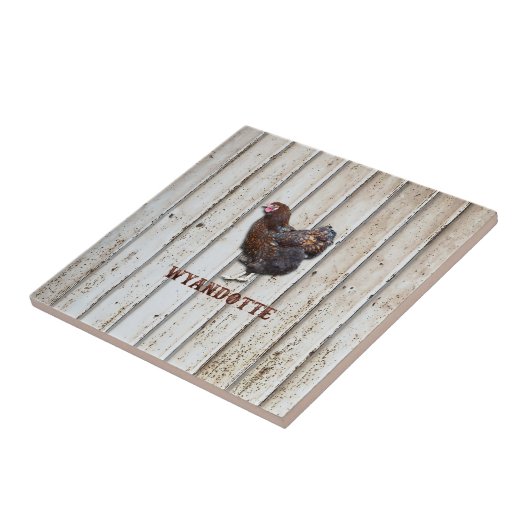 Wyandotte Chicken Tegeltje (Zijkant)