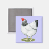 Wyandotte: Columbia Hen Magneet (Voorkant / Achterkant)