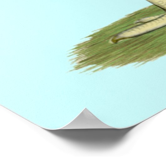 Wyandotte: Columbia Hen Poster (Hoek)