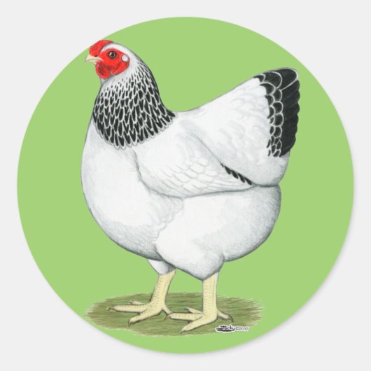 Wyandotte:  Columbian Hen Ronde Sticker (Voorkant)