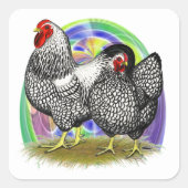Wyandotte:  Easter Egg Pair Vierkante Sticker (Voorkant)
