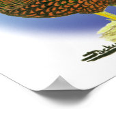 Wyandotte: Golden-laced Paar Poster (Hoek)