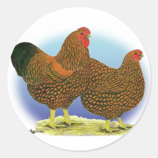 Wyandotte: Golden-laced Paar Ronde Sticker (Voorkant)