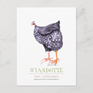 WYANDOTTE HEN, tony fernandes Briefkaart