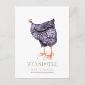 WYANDOTTE HEN, Tony Fernandes Briefkaart (Voorkant)