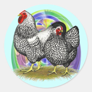 Wyandotte: Paaseihaar Ronde Sticker