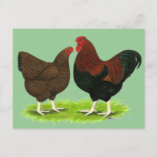 Wyandotte: Partridge Pair Briefkaart