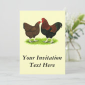 Wyandotte: Partridge Pair Kaart (Staand voorkant)
