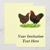 Wyandotte: Partridge Pair Kaart (Voorkant / Achterkant)