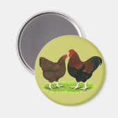 Wyandotte: Partridge Pair Magneet (Voorkant / Achterkant)